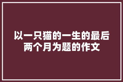 11月国产销量汽车排行榜揭晓自主崛起，新能源汽车引领潮流