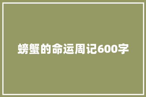 12月汽车销量榜单新能源汽车异军突起，传统车企面临挑战  第1张