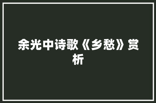 10万级汽车销量排行榜揭晓热门车型盘点与市场趋势分析