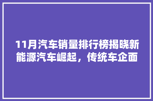 11月汽车销量排行榜揭晓新能源汽车崛起，传统车企面临挑战