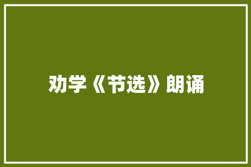 2014年2月A级汽车销量排行榜解读市场趋势与品牌竞争格局