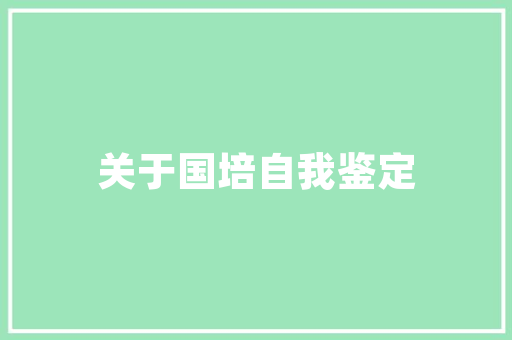 16排量汽车排行榜前十名能与魅力的完美融合