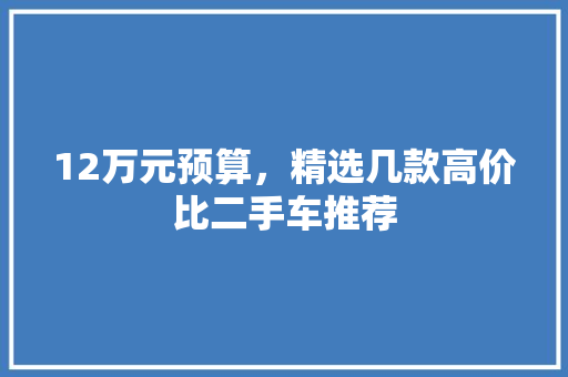 12万元预算，精选几款高价比二手车推荐
