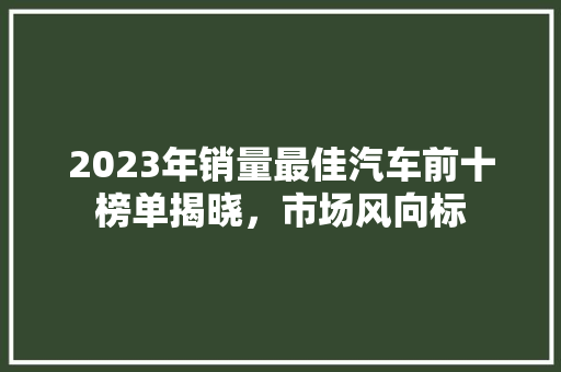 2023年销量最佳汽车前十榜单揭晓，市场风向标