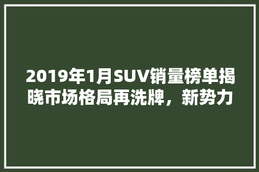 2019年1月SUV销量榜单揭晓市场格局再洗牌，新势力崛起  第1张