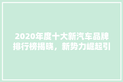 2020年度十大新汽车品牌排行榜揭晓，新势力崛起引领汽车产业未来  第1张