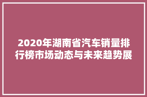 2020年湖南省汽车销量排行榜市场动态与未来趋势展望  第1张