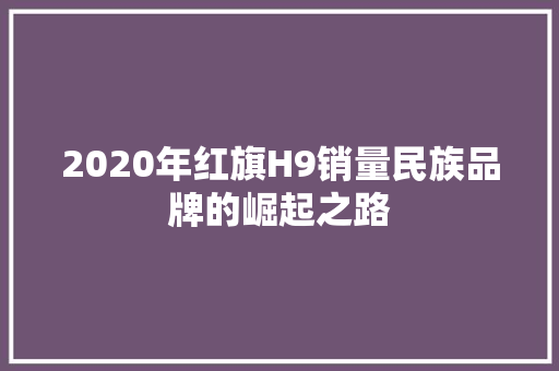 2020年红旗H9销量民族品牌的崛起之路