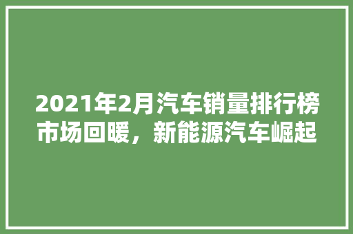 2021年2月汽车销量排行榜市场回暖，新能源汽车崛起  第1张