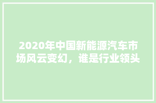 2020年中国新能源汽车市场风云变幻，谁是行业领头羊  第1张
