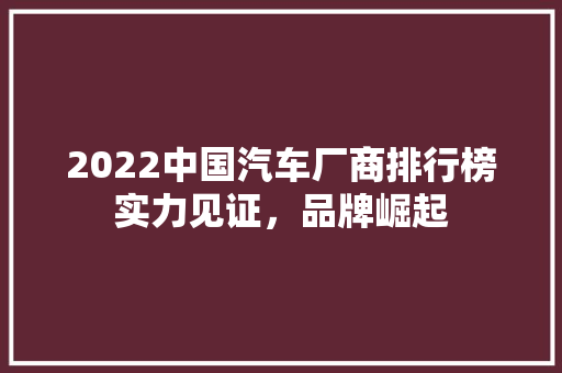 2022中国汽车厂商排行榜实力见证，品牌崛起  第1张