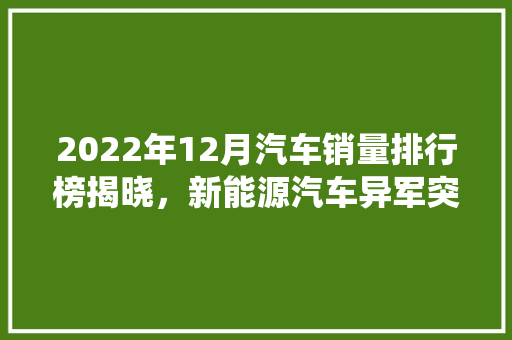 2022年12月汽车销量排行榜揭晓，新能源汽车异军突起，传统车企面临挑战  第1张