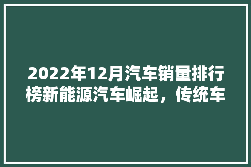 2022年12月汽车销量排行榜新能源汽车崛起，传统车企稳中求进  第1张