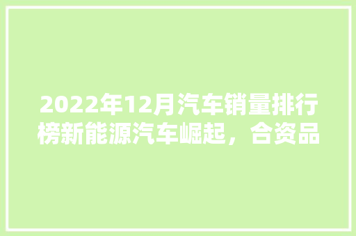 2022年12月汽车销量排行榜新能源汽车崛起，合资品牌再展雄风  第1张