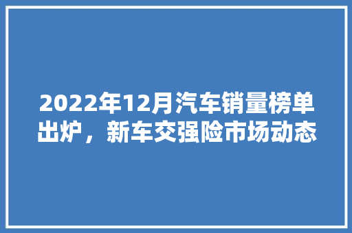 2022年12月汽车销量榜单出炉，新车交强险市场动态