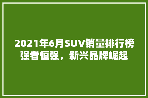 2021年6月SUV销量排行榜强者恒强，新兴品牌崛起  第1张
