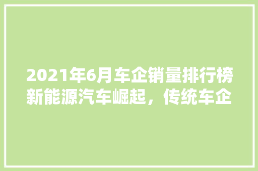 2021年6月车企销量排行榜新能源汽车崛起，传统车企面临挑战  第1张