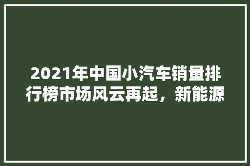 2021年中国小汽车销量排行榜市场风云再起，新能源汽车崛起  第1张