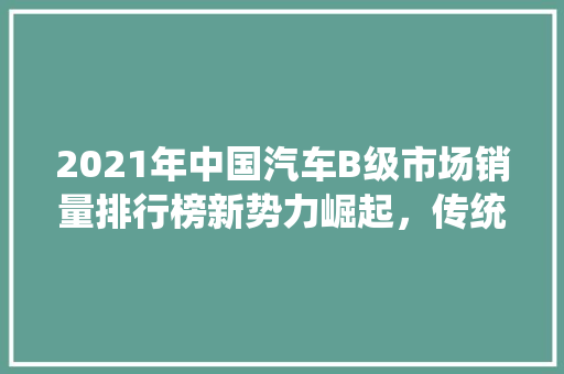 2021年中国汽车B级市场销量排行榜新势力崛起，传统品牌稳扎稳打  第1张
