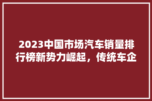 2023中国市场汽车销量排行榜新势力崛起，传统车企稳居前列
