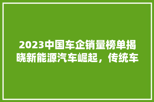 2023中国车企销量榜单揭晓新能源汽车崛起，传统车企转型升级