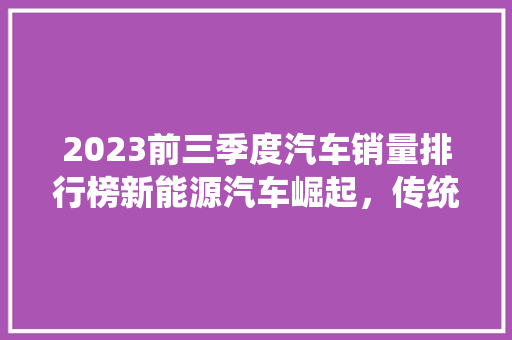 2023前三季度汽车销量排行榜新能源汽车崛起，传统车企面临挑战  第1张