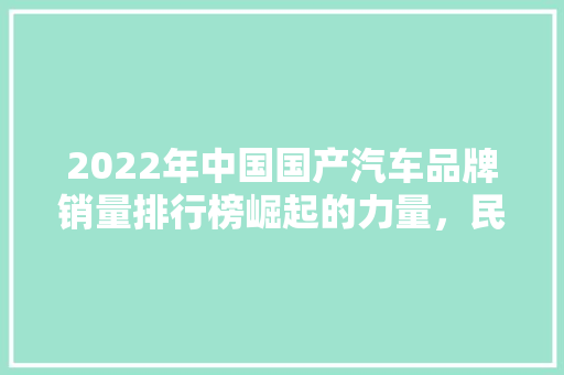 2022年中国国产汽车品牌销量排行榜崛起的力量，民族品牌的辉煌  第1张