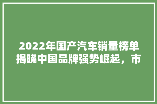 2022年国产汽车销量榜单揭晓中国品牌强势崛起，市场表现亮眼  第1张