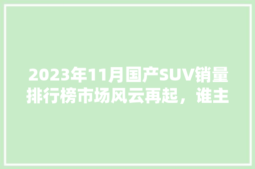 2023年11月国产SUV销量排行榜市场风云再起，谁主沉浮