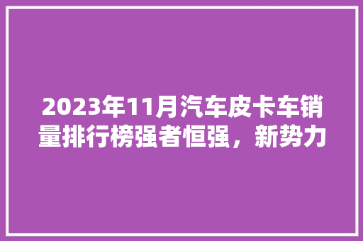 2023年11月汽车皮卡车销量排行榜强者恒强，新势力崛起