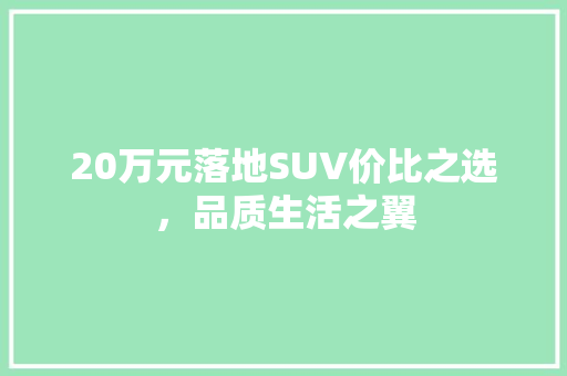 20万元落地SUV价比之选，品质生活之翼