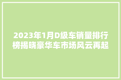 2023年1月D级车销量排行榜揭晓豪华车市场风云再起