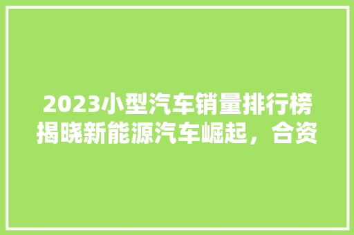 2023小型汽车销量排行榜揭晓新能源汽车崛起，合资品牌面临挑战