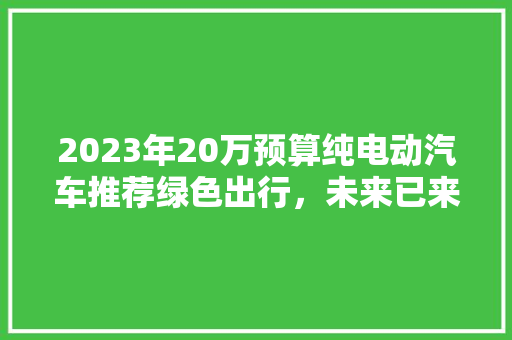 2023年20万预算纯电动汽车推荐绿色出行，未来已来