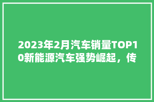 2023年2月汽车销量TOP10新能源汽车强势崛起，传统燃油车遭遇挑战