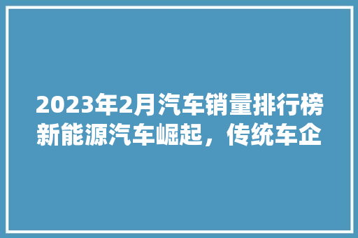 2023年2月汽车销量排行榜新能源汽车崛起，传统车企转型加速
