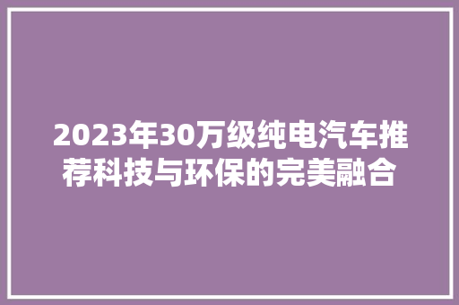 2023年30万级纯电汽车推荐科技与环保的完美融合
