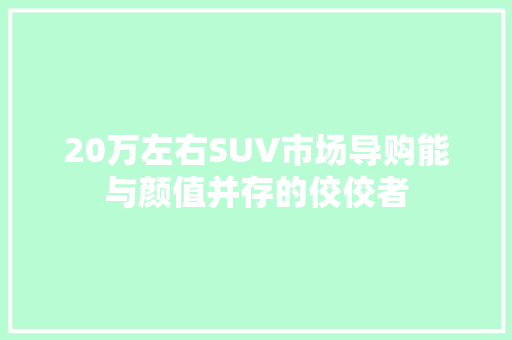 20万左右SUV市场导购能与颜值并存的佼佼者