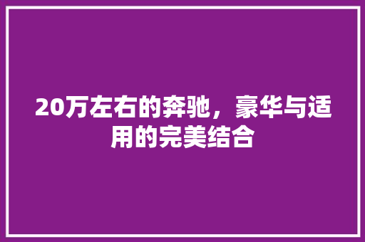 20万左右的奔驰，豪华与适用的完美结合