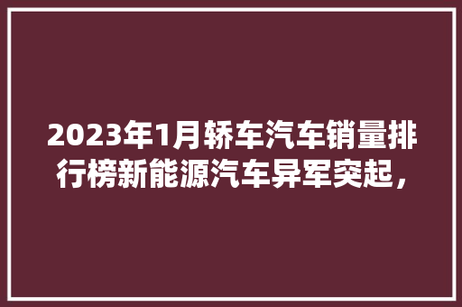 2023年1月轿车汽车销量排行榜新能源汽车异军突起，传统车企面临挑战