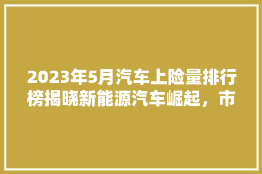 2023年5月汽车上险量排行榜揭晓新能源汽车崛起，市场格局再创新篇