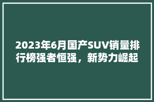 2023年6月国产SUV销量排行榜强者恒强，新势力崛起  第1张