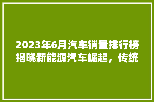 2023年6月汽车销量排行榜揭晓新能源汽车崛起，传统车企面临挑战