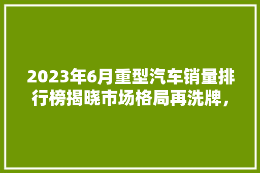 2023年6月重型汽车销量排行榜揭晓市场格局再洗牌，新能源汽车崛起