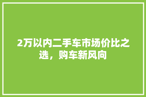 2万以内二手车市场价比之选，购车新风向  第1张