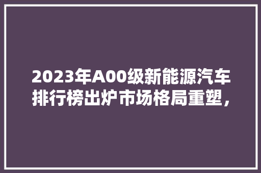 2023年A00级新能源汽车排行榜出炉市场格局重塑，新能源汽车崛起之路