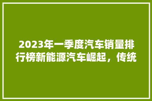 2023年一季度汽车销量排行榜新能源汽车崛起，传统车企转型加速