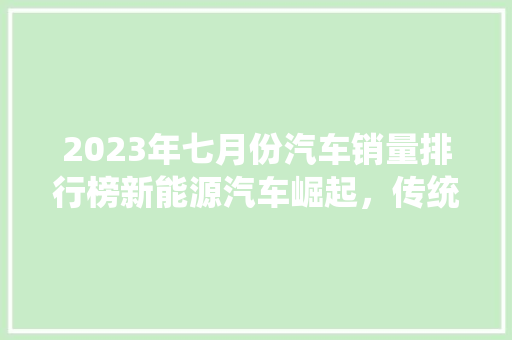 2023年七月份汽车销量排行榜新能源汽车崛起，传统车企面临挑战  第1张
