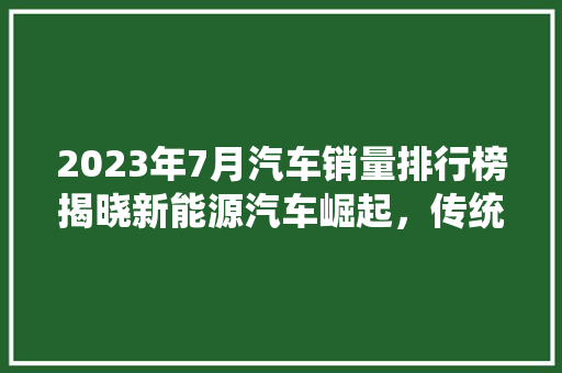 2023年7月汽车销量排行榜揭晓新能源汽车崛起，传统燃油车面临挑战  第1张
