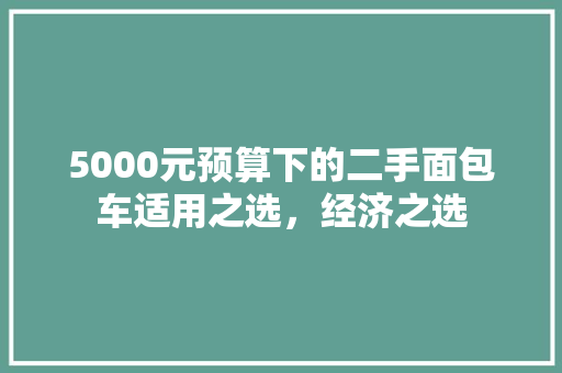 5000元预算下的二手面包车适用之选，经济之选